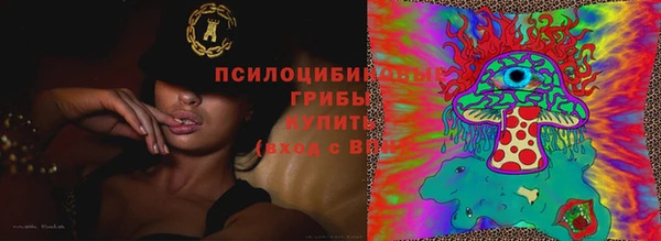 гашик Нестеровская