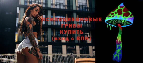 гашик Нестеровская