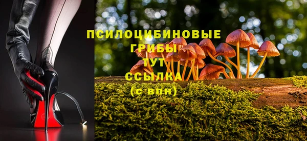 винт Калининец