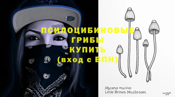 гашик Нестеровская