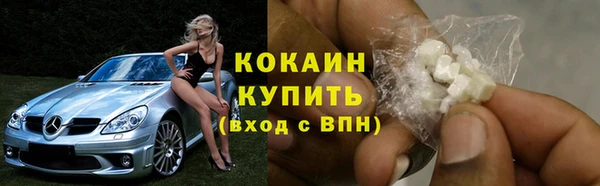 винт Калининец