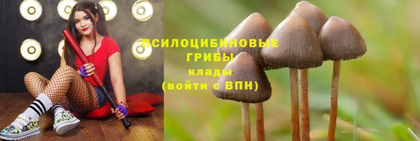 винт Калининец