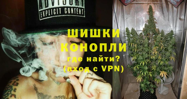 гашик Нестеровская