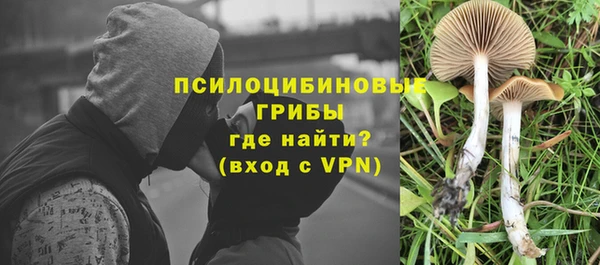 мдпв Фёдоровский