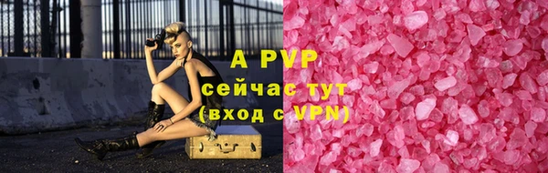 гашик Нестеровская