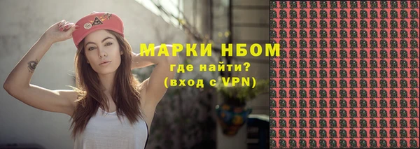 гашик Нестеровская