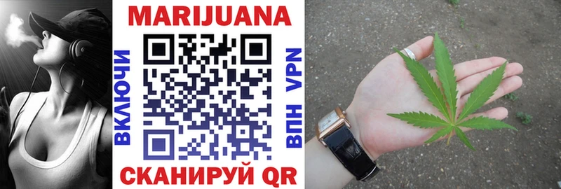 Каннабис индика Чита